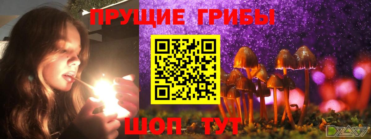 Псилоцибиновые грибы MAGIC MUSHROOMS  Вход с VPN  Ревда 